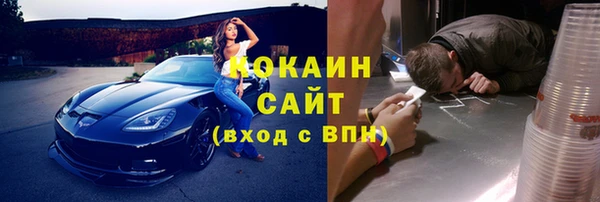 круглые Тайга