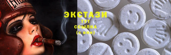 круглые Тайга
