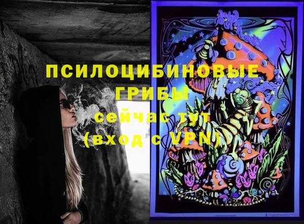 ешки Тавда