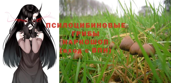 гидра Сясьстрой