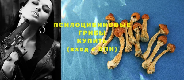 дурь Армянск